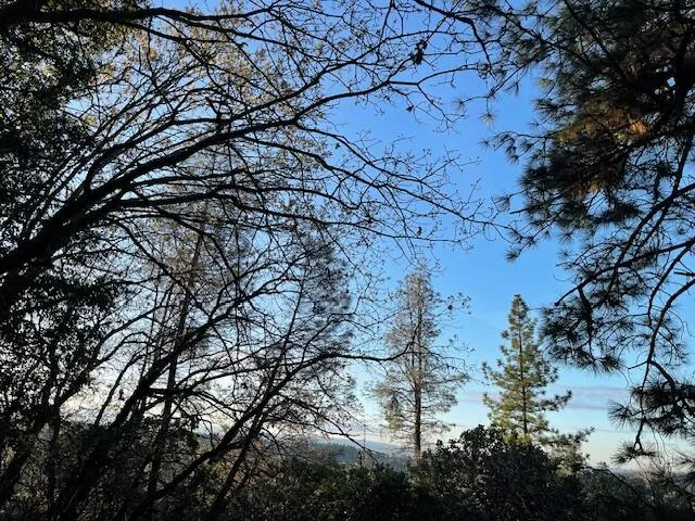 a backyard of a house