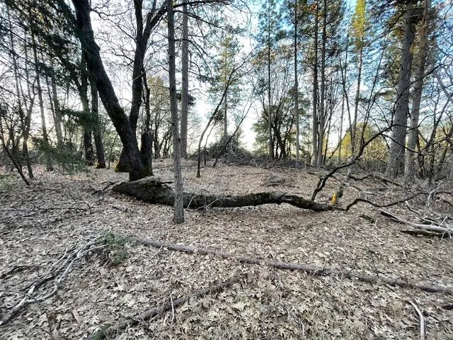 a view of mountain view with lots of trees