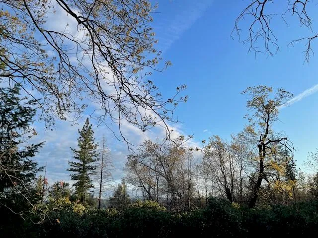a backyard of a house