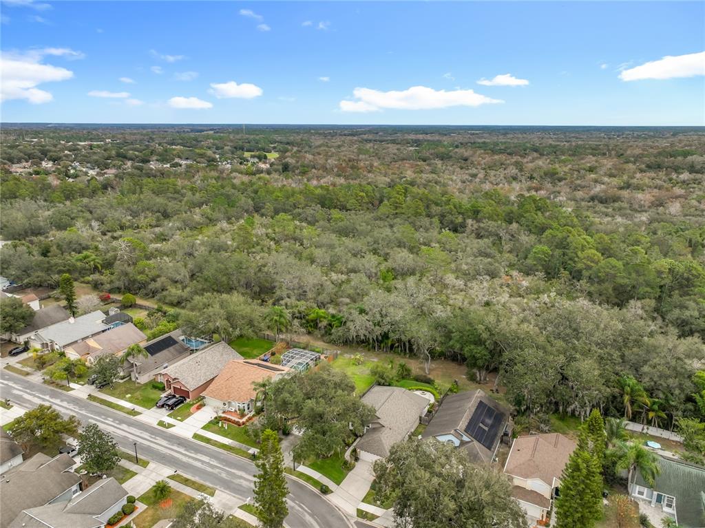 1648 Sand Key Circle Oviedo, FL 32765 - Photo 54 of 58