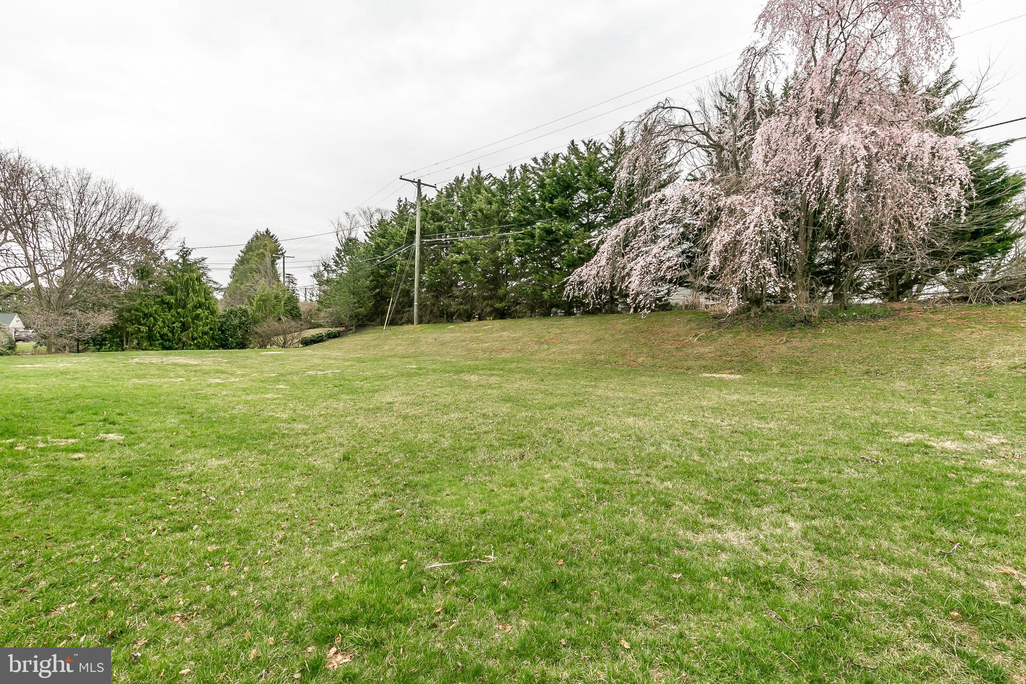 2011 Dumont Road Lutherville-Timonium, MD 21093 - Photo 47 of 49 Flat yard & beautiful trees!