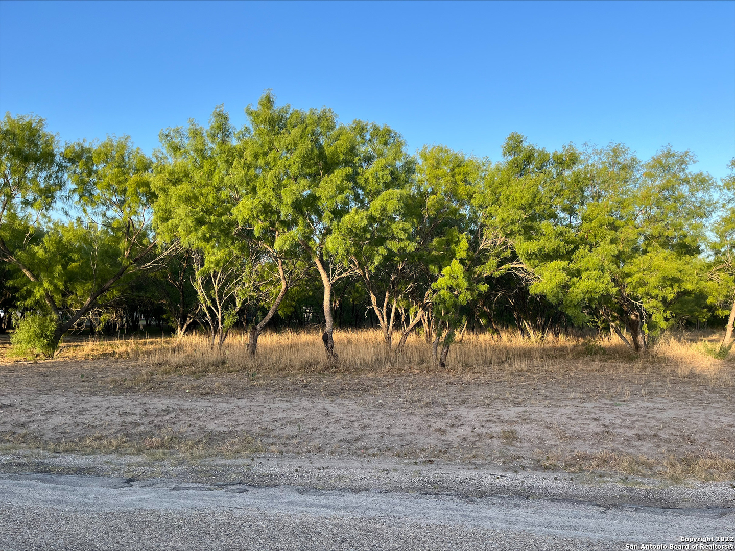 5710 County Road 5710 Devine, TX 78016 - Photo 1 of 1 a view of a dry yard with trees