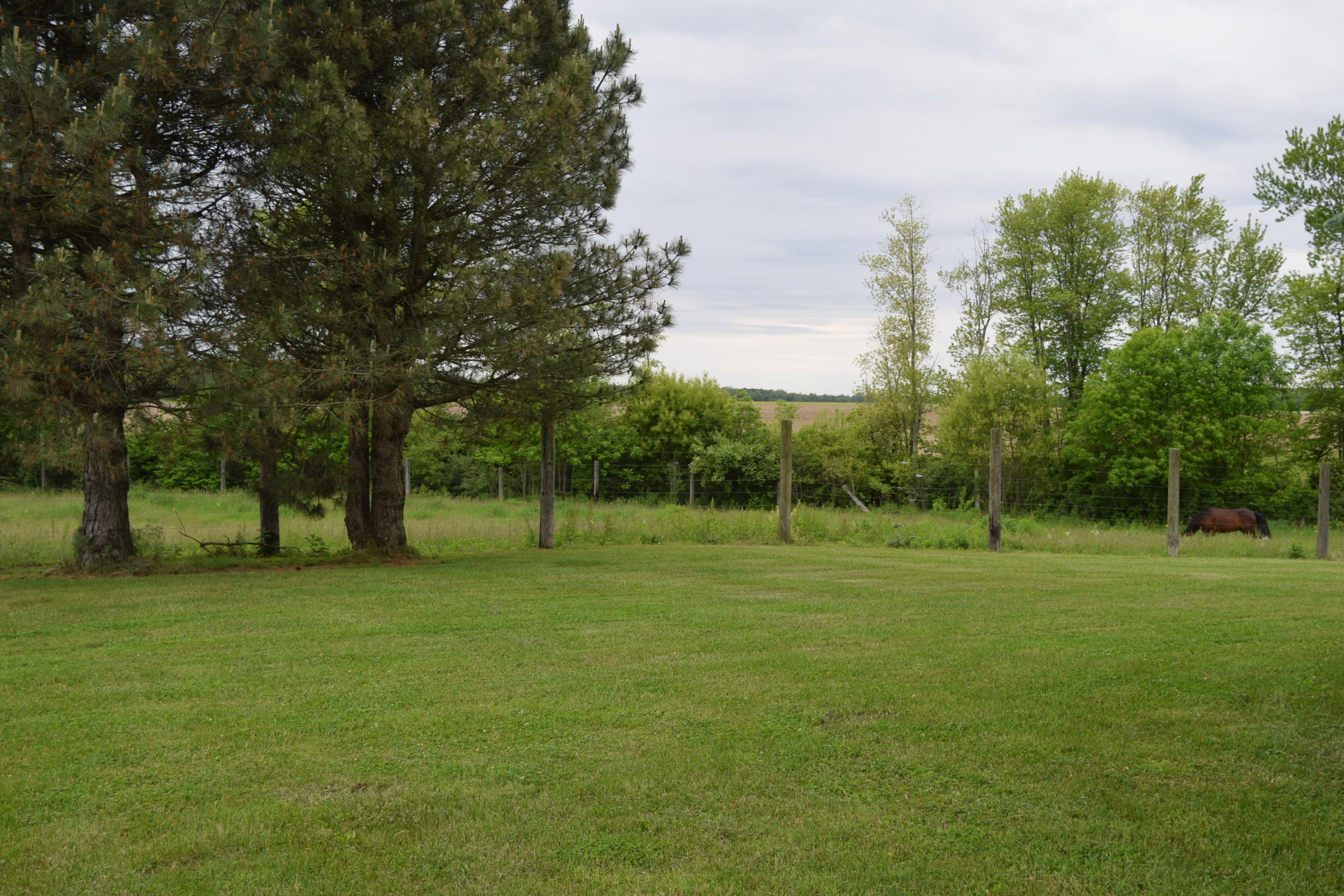 3493 River Trail Road Rockford, OH 45882 - Photo 29 of 45