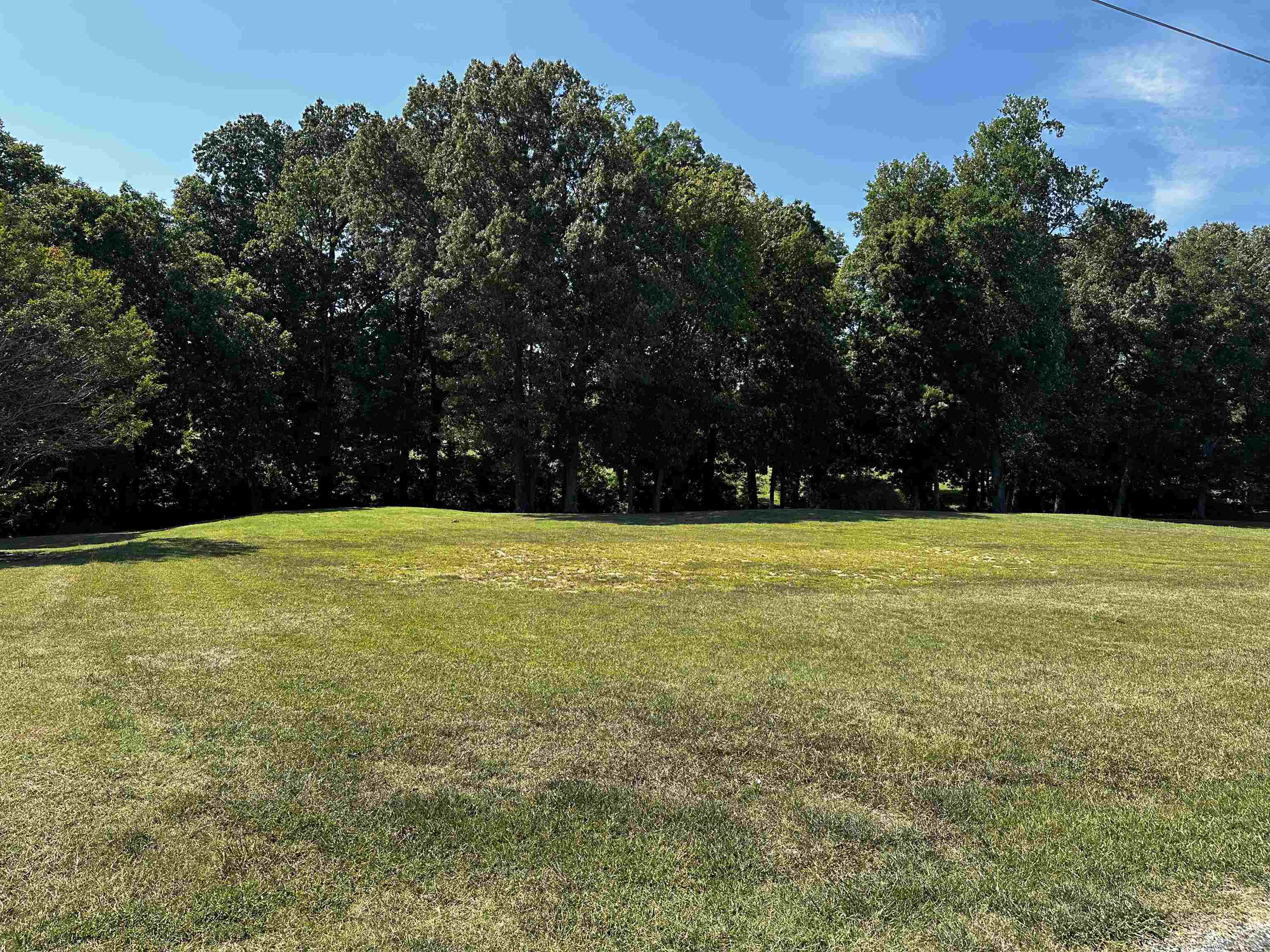 46 Blackgum Road Brownsville, TN 38012 - Photo 11 of 18 a view of a swimming pool and trees in the background