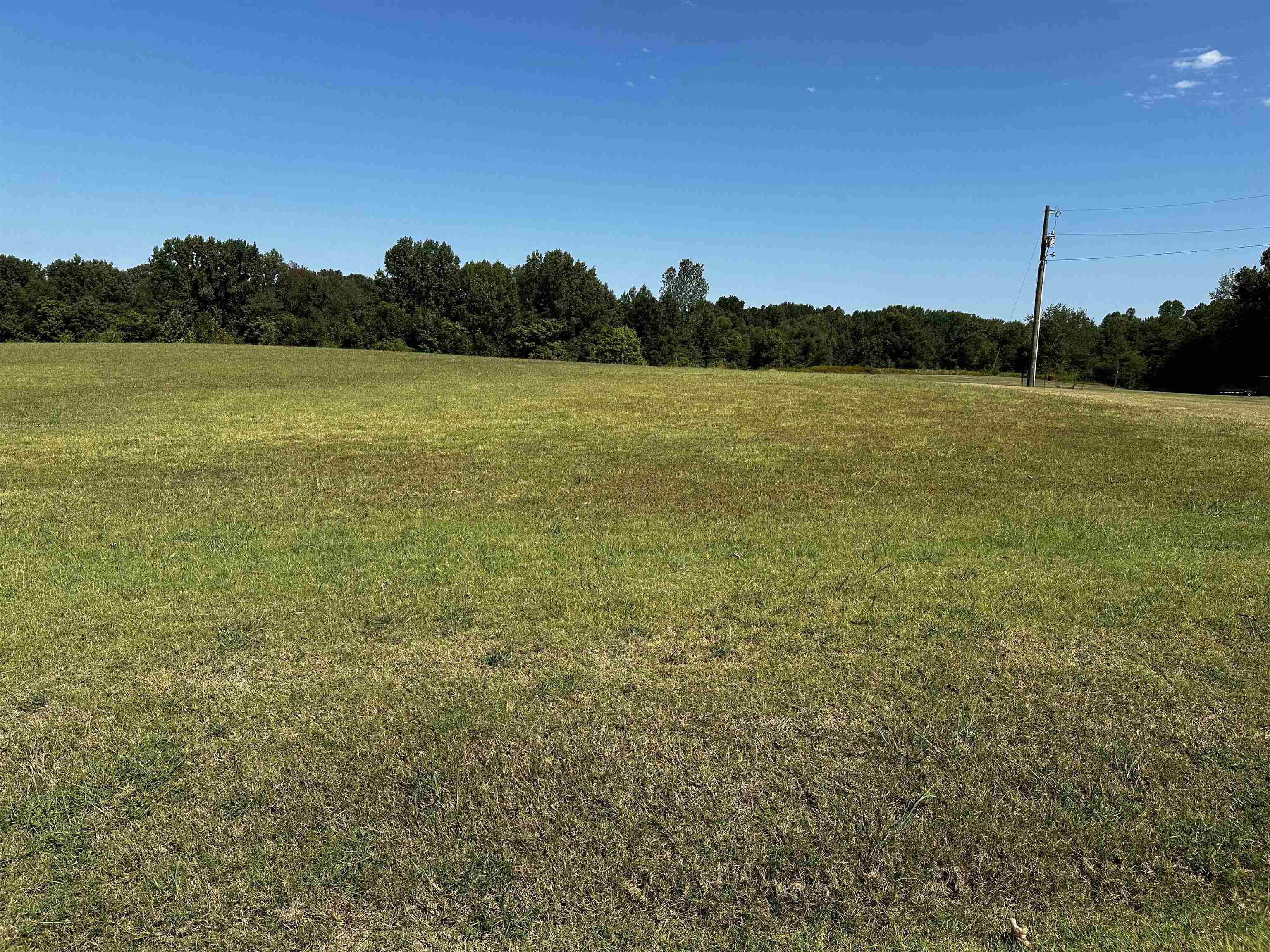 46 Blackgum Road Brownsville, TN 38012 - Photo 13 of 18 a view of a lake with houses in the background