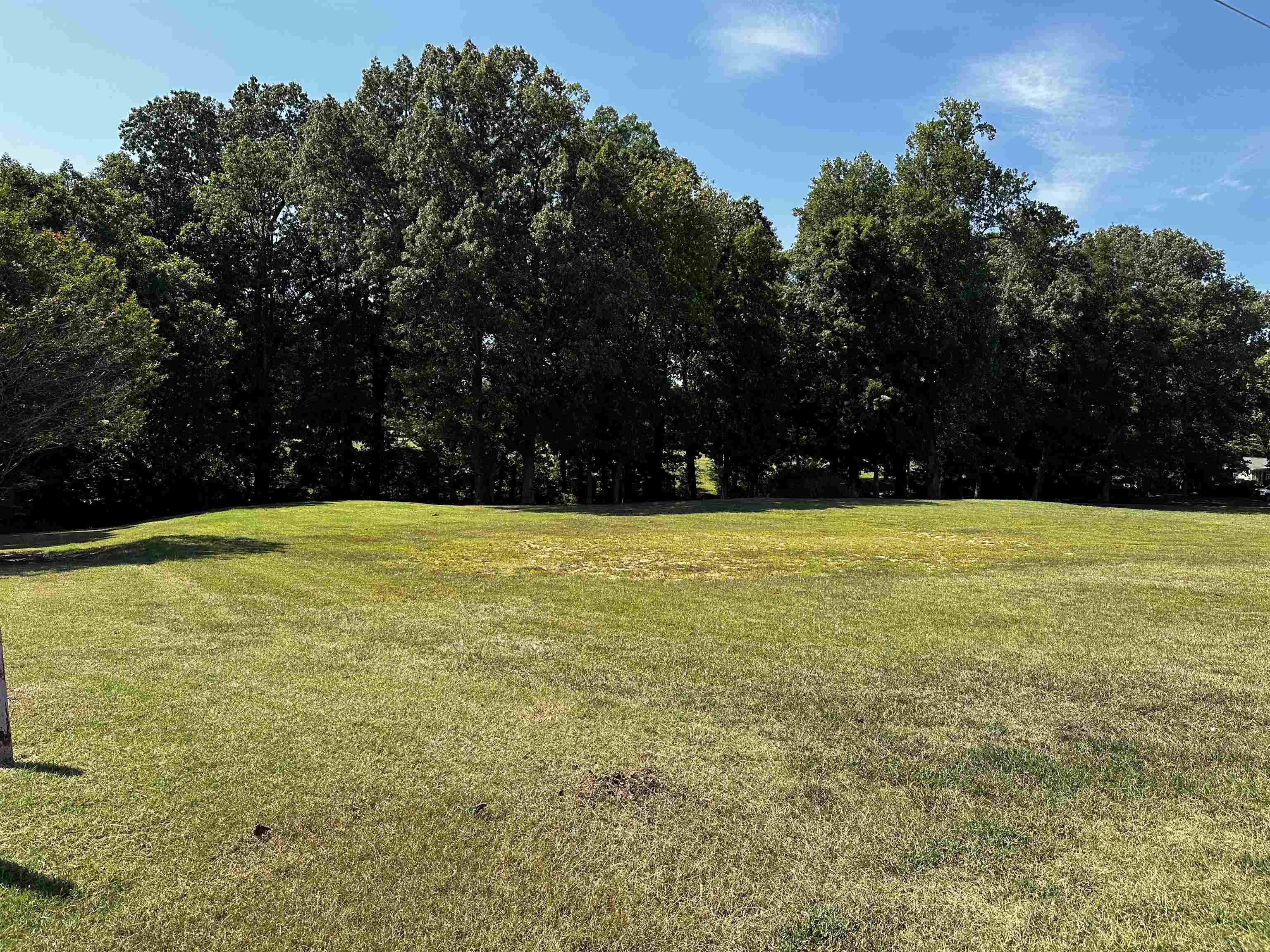 46 Blackgum Road Brownsville, TN 38012 - Photo 3 of 18 a view of an outdoor space and swimming pool