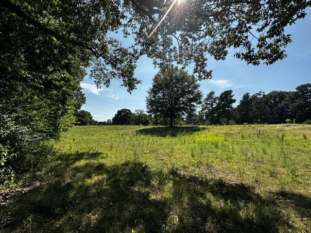 46 Blackgum Road Brownsville, TN 38012 - Photo 6 of 18 a view of yard with swimming pool and green space