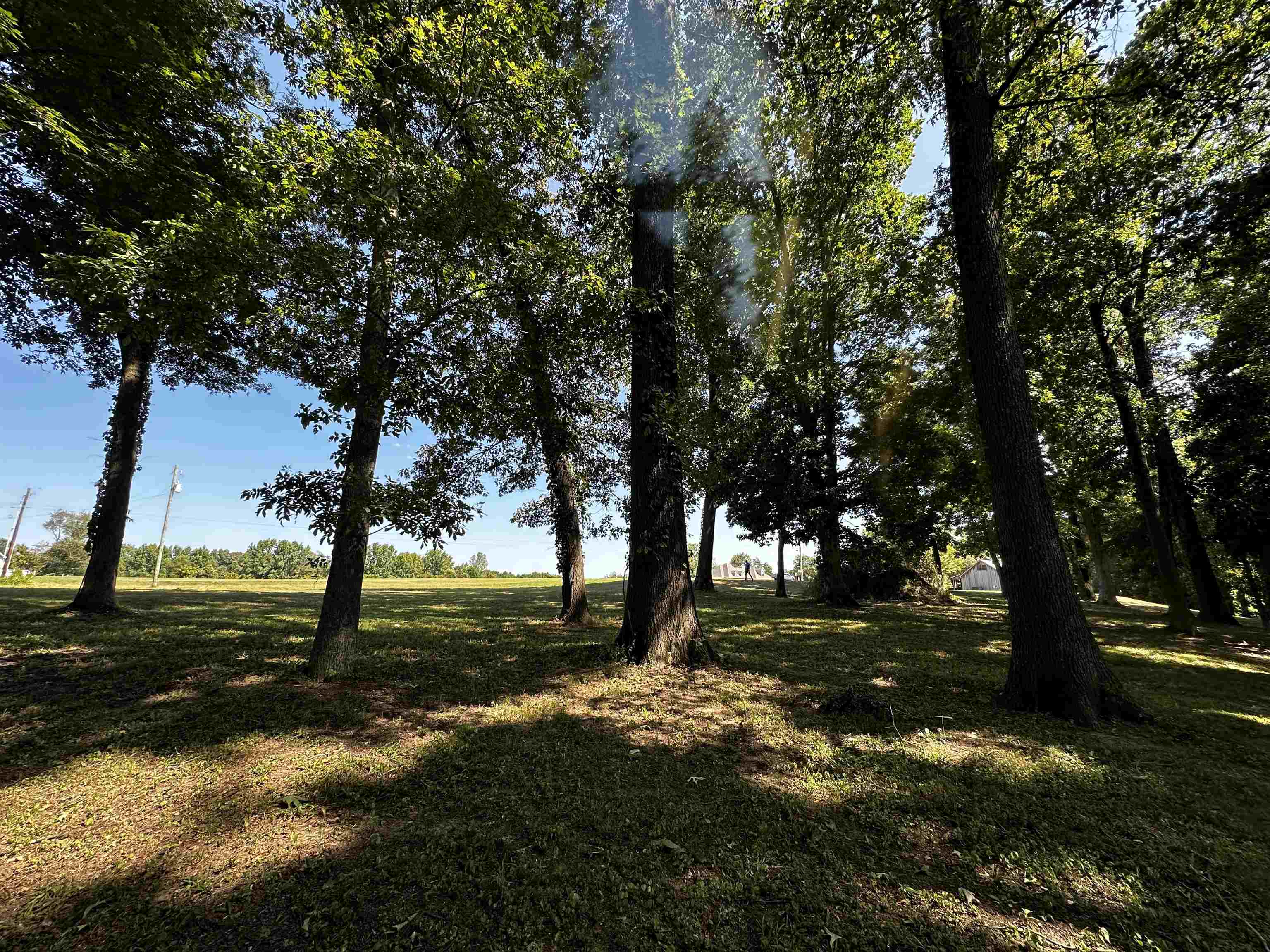 46 Blackgum Road Brownsville, TN 38012 - Photo 8 of 18 a view of outdoor space with garden