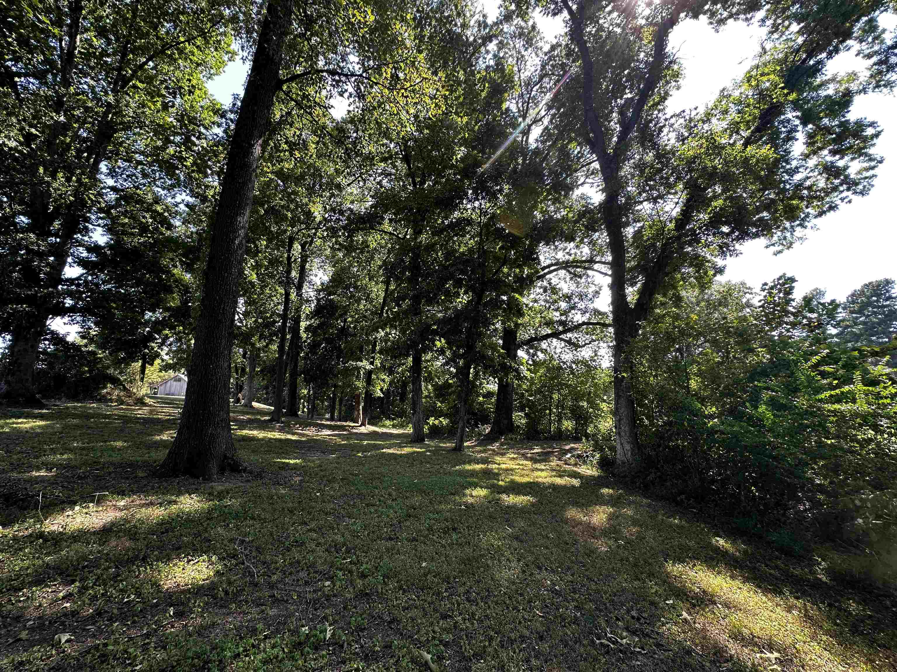 46 Blackgum Road Brownsville, TN 38012 - Photo 9 of 18 a view of outdoor space with green field and trees