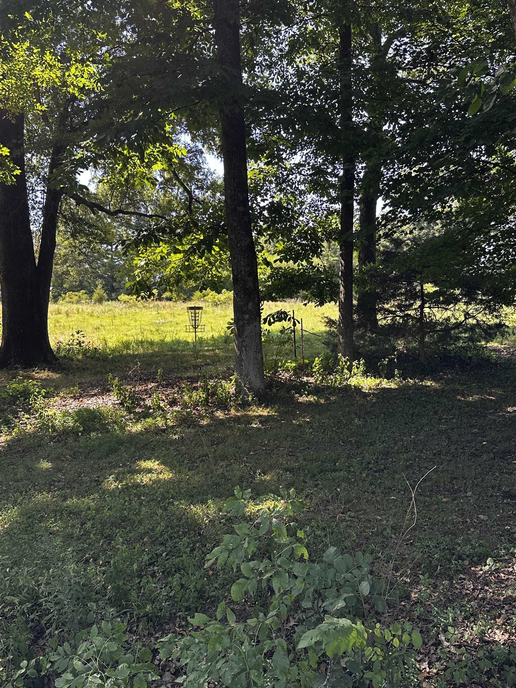 46 Blackgum Road Brownsville, TN 38012 - Photo 10 of 18 a view of a yard with a tree