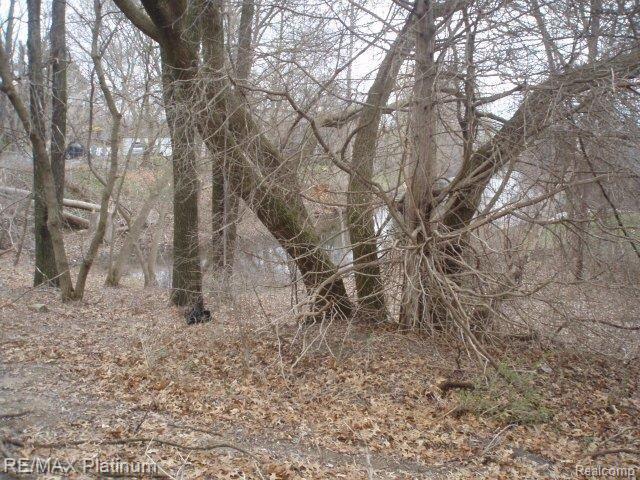 Vl Benstein Road Commerce Township, MI 48382 - Photo 6 of 14 P4160011