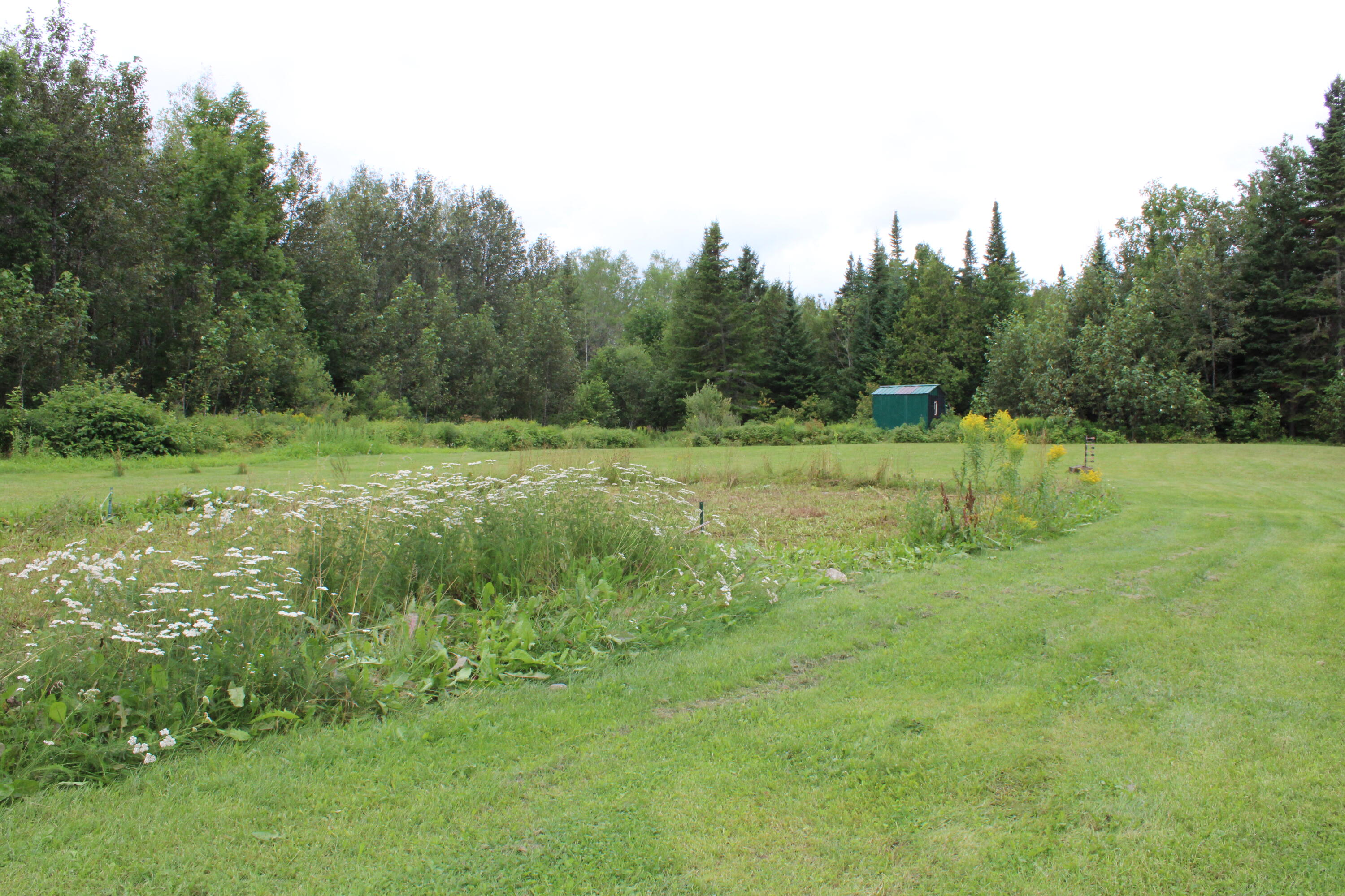 231 Grivois Road Grand Isle, ME 04746 - Photo 16 of 116 IMG_0238
