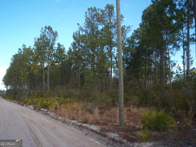 0 Fire Line Road Baxley, GA 31513 - Photo 1 of 1 Main View