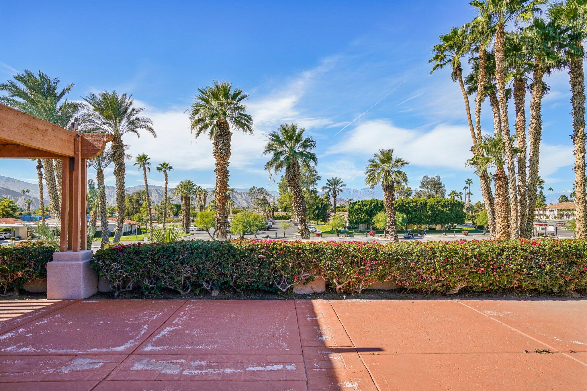 49382 Wayne Street Indio, CA 92201 - Photo 50 of 69 a view of a yard with palm trees