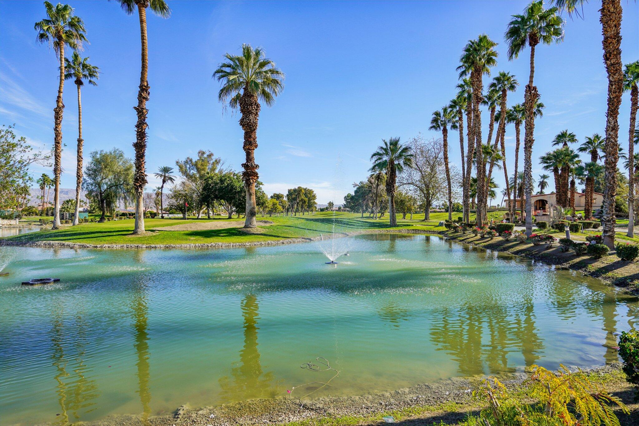 49382 Wayne Street Indio, CA 92201 - Photo 51 of 69 a view of swimming pool with a yard and palm trees