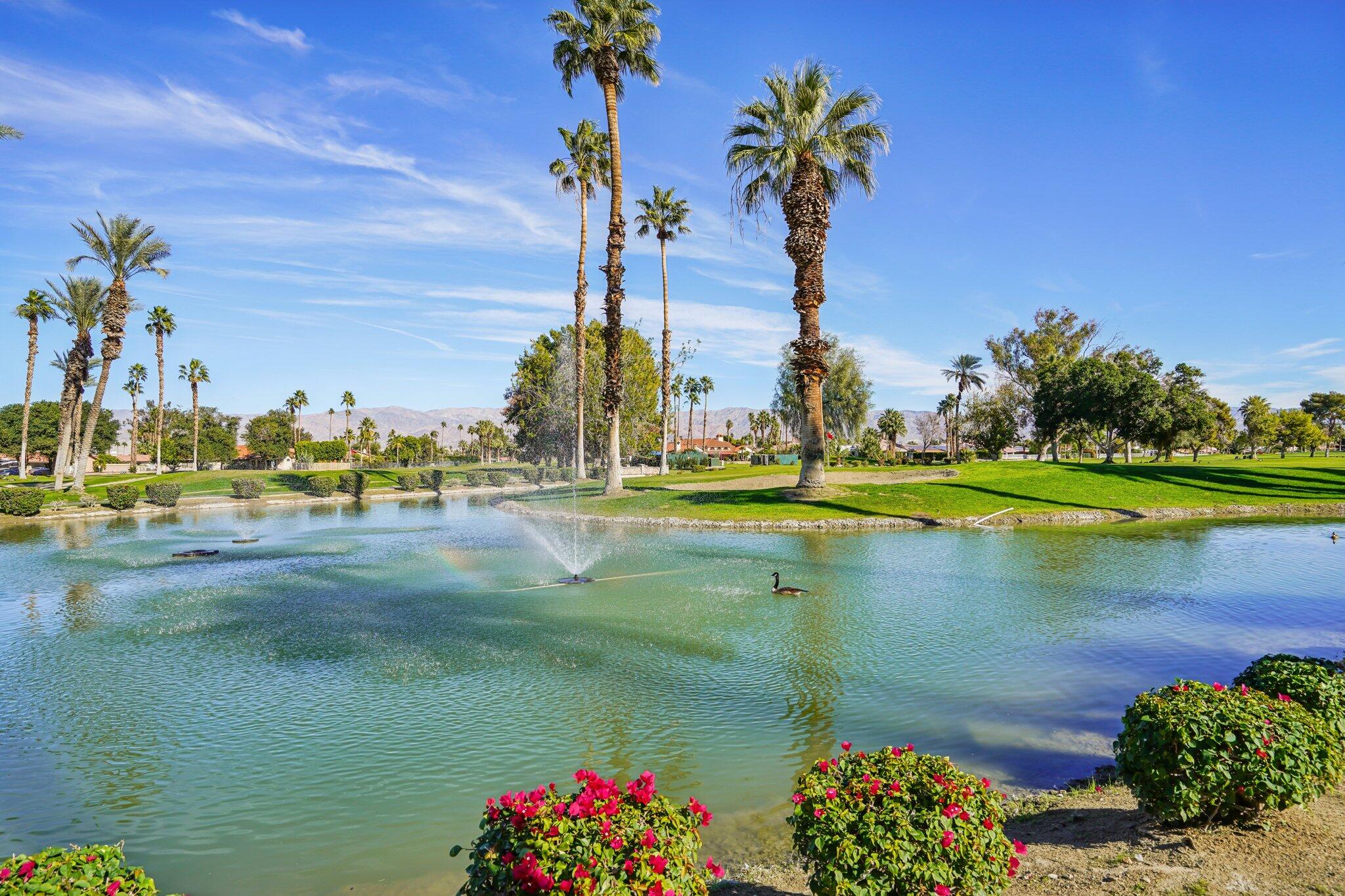 49382 Wayne Street Indio, CA 92201 - Photo 52 of 69 52-web-or-mls-Wayne St-1501-907