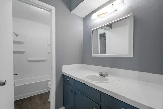 a bathroom with a sink and a bathtub
