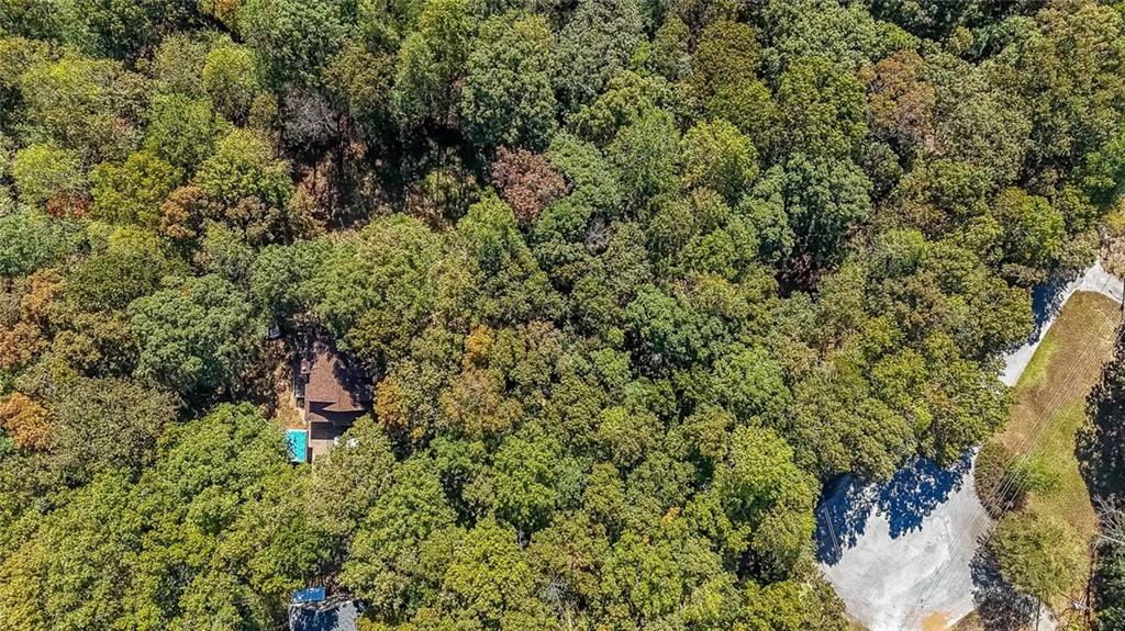 6554 Fox Run Winston, GA 30187 - Photo 34 of 40 a view of a forest with a tree
