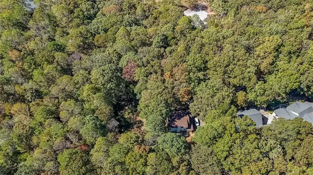 a view of a lush green forest with a houses