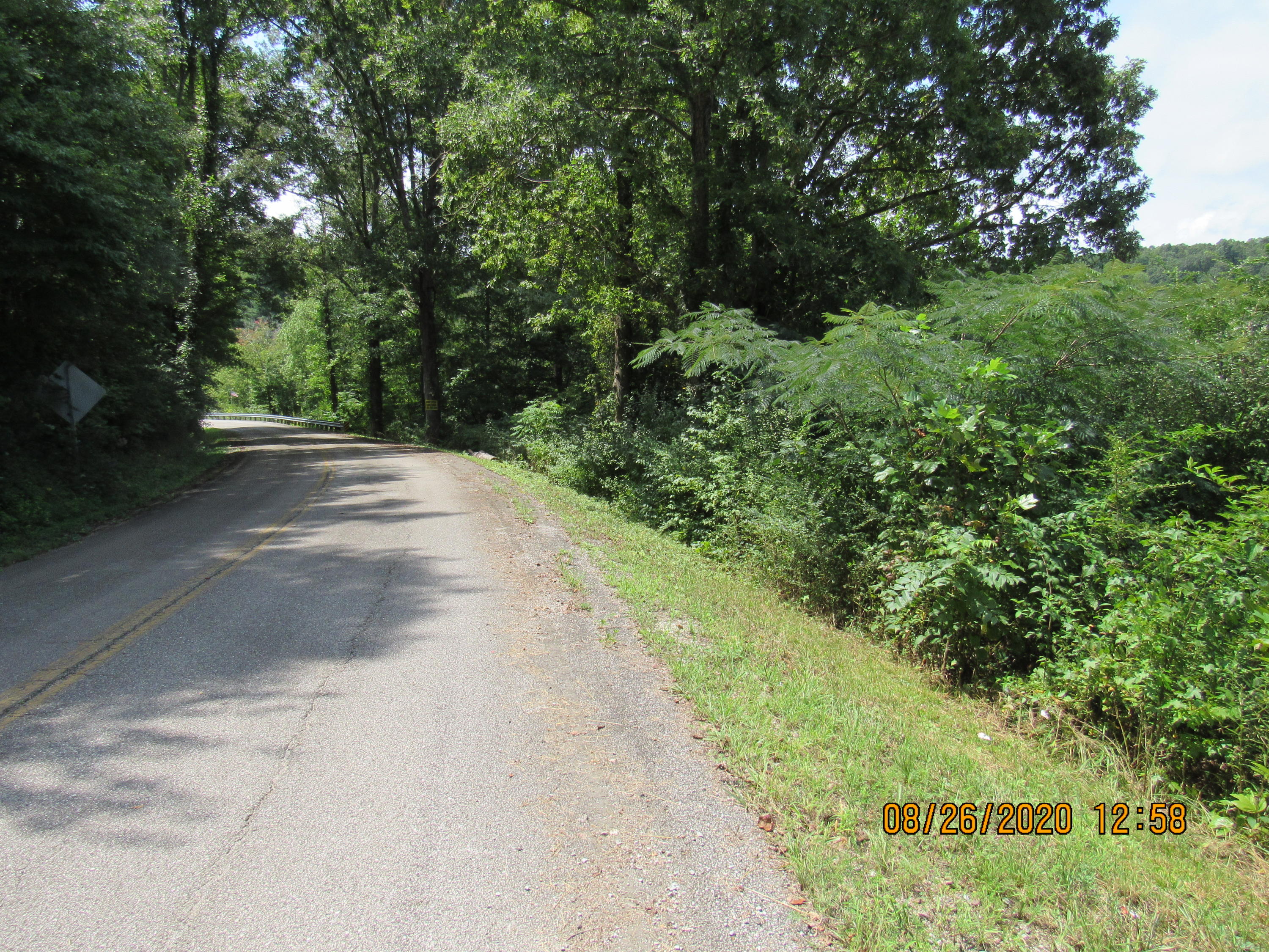 Spring Street Lancing, TN 37770 - Photo 17 of 19 IMG_2717
