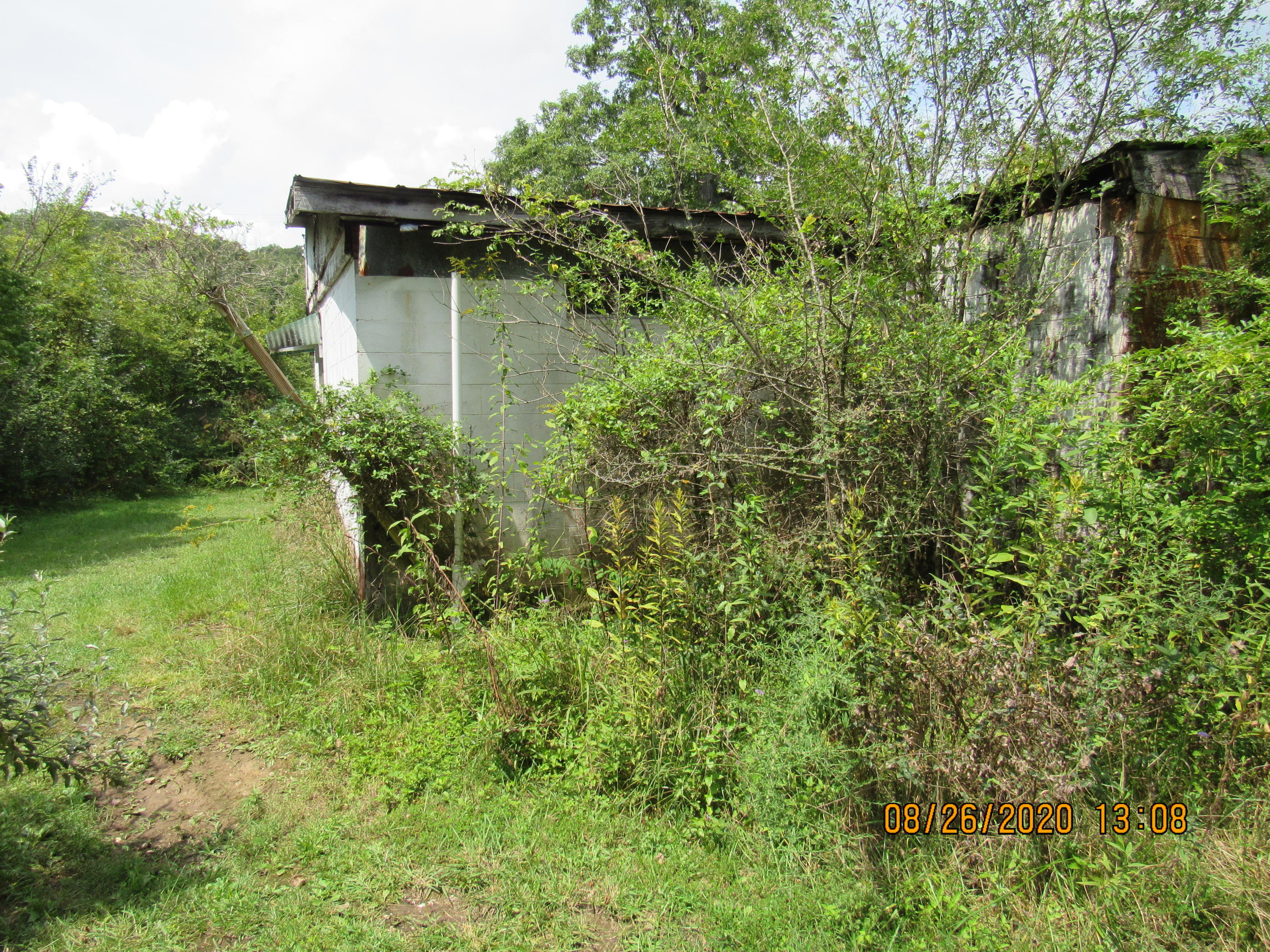 Spring Street Lancing, TN 37770 - Photo 7 of 19 IMG_2741