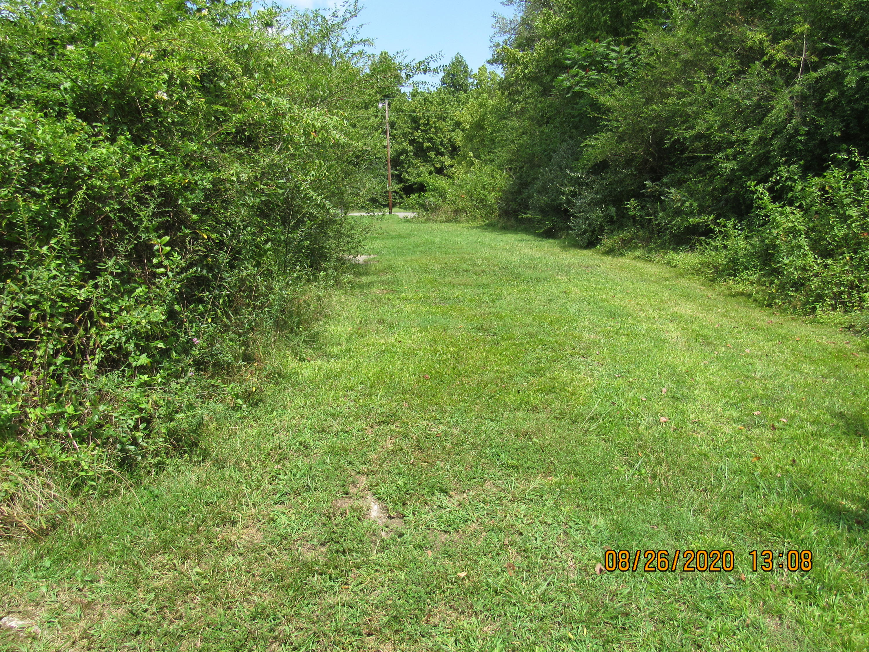 Spring Street Lancing, TN 37770 - Photo 8 of 19 IMG_2742