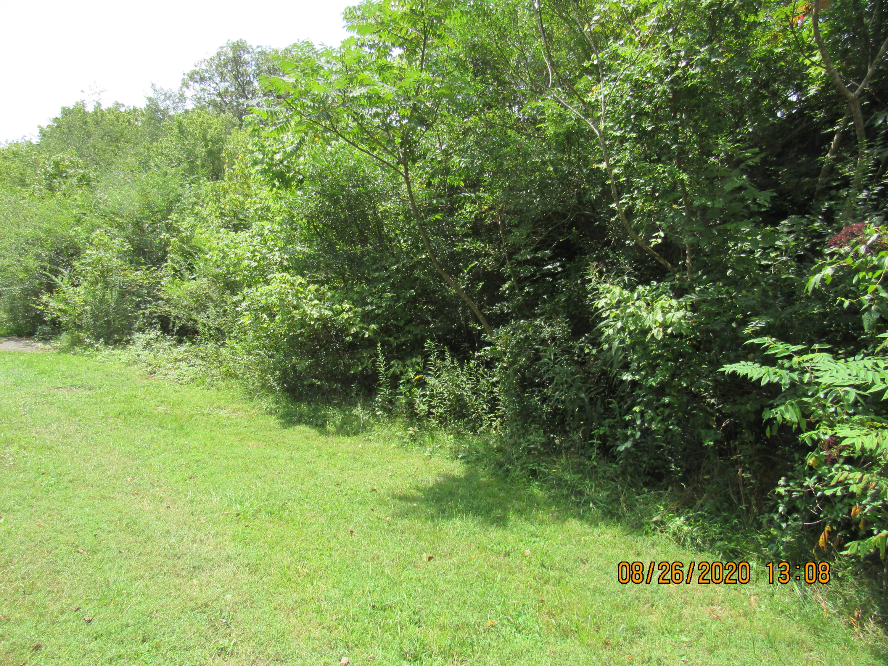 Spring Street Lancing, TN 37770 - Photo 10 of 19 IMG_2744