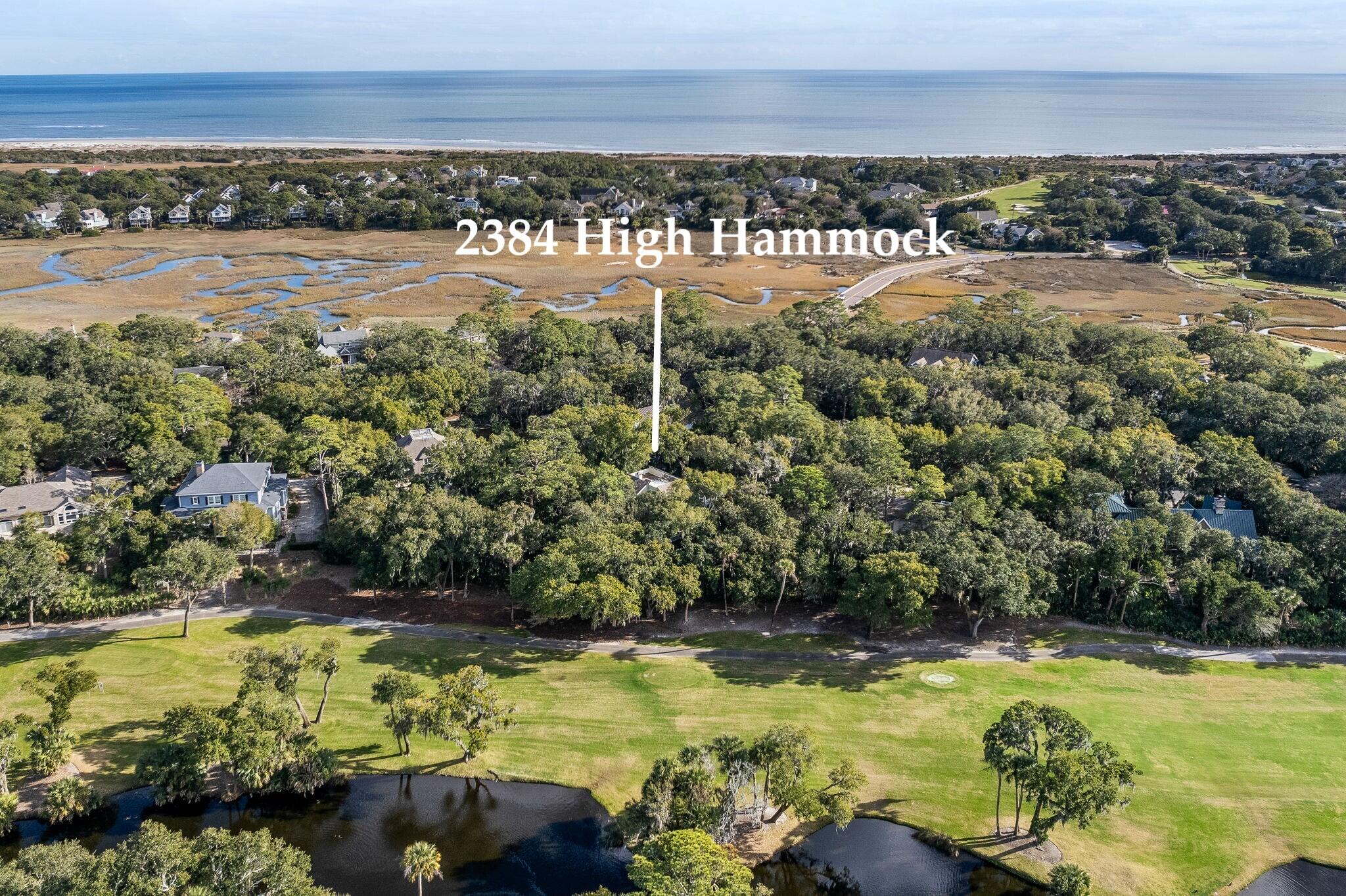 2384 High Hammock Road Seabrook Island, SC 29455 - Photo 38 of 88 38-web-or-mls-CoastalREphoto 2384 High H