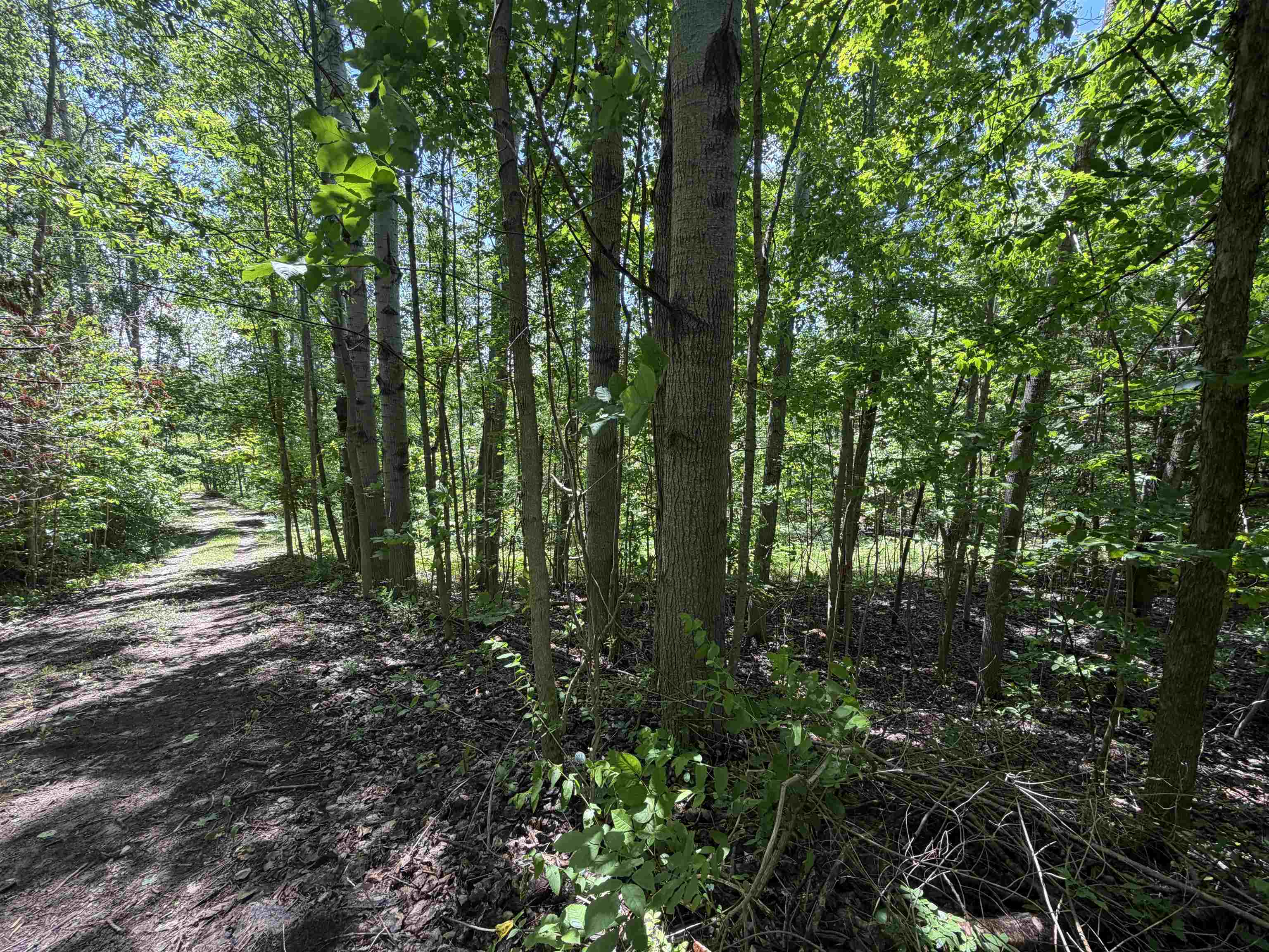 6263 East Jordan Road Ellsworth, MI 49729 - Photo 39 of 40
