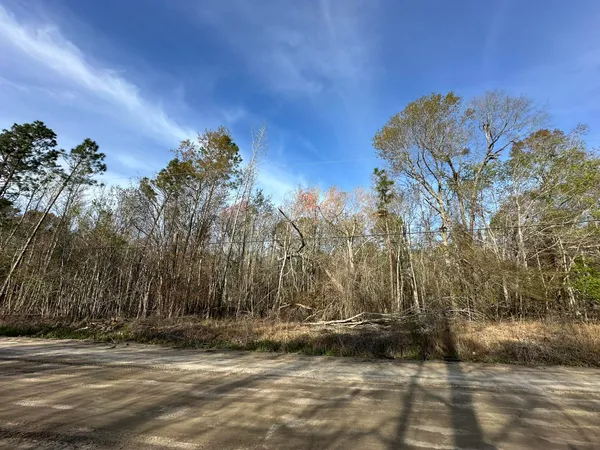 $56,325 | Lot 12 Robin Boulevard, Swainsboro, GA 30401