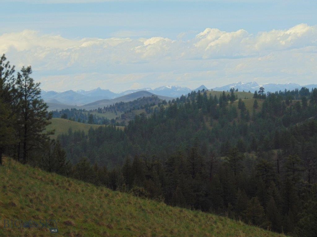 Tbd Shady Spring Lane Cascade, MT 59421 - Photo 30 of 78 Gallery Image 30