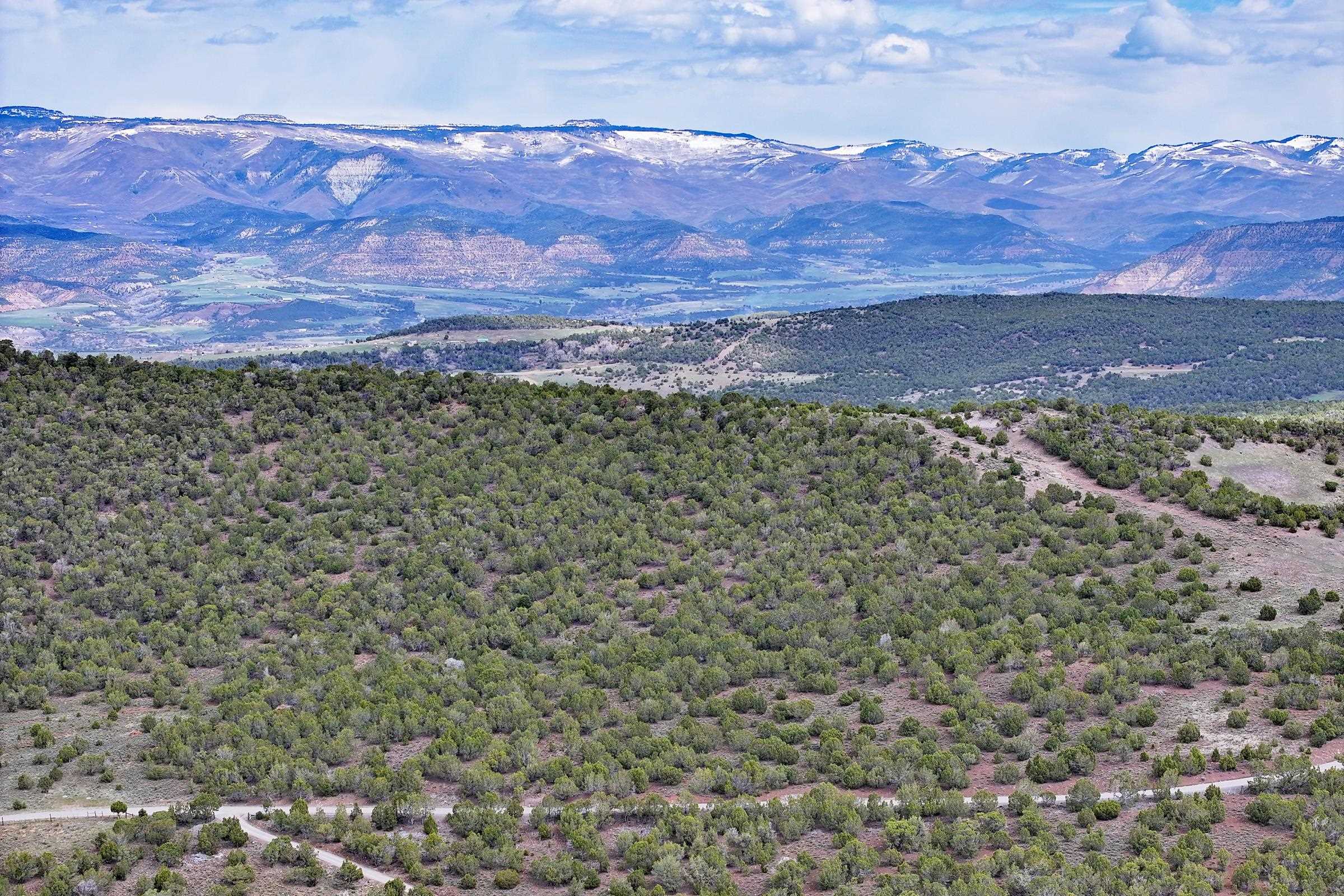 Tbd KK Road Collbran, CO 81624 - Photo 10 of 11 a view of a yard with a mountain