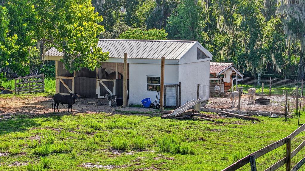 8922 Pritcher Road Lithia, FL 33547 - Photo 15 of 73