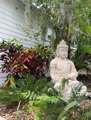 a view of a flower in a garden