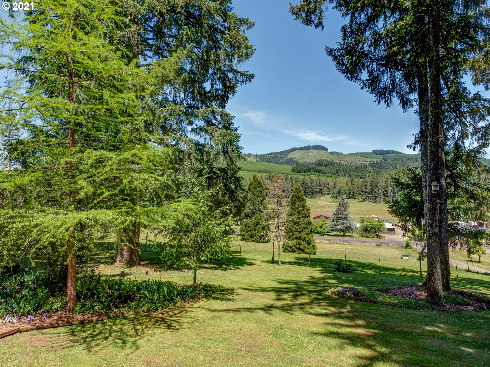 37224 Camp Creek Road Springfield, OR 97478 - Photo 22 of 30