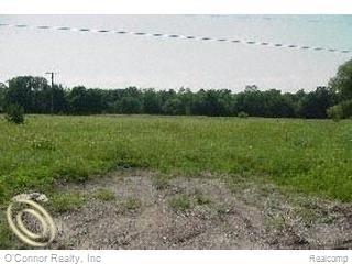 567 Mayer Road Goodells, MI 48027 - Photo 1 of 1 Vacant 567 Mayer Road.jpg