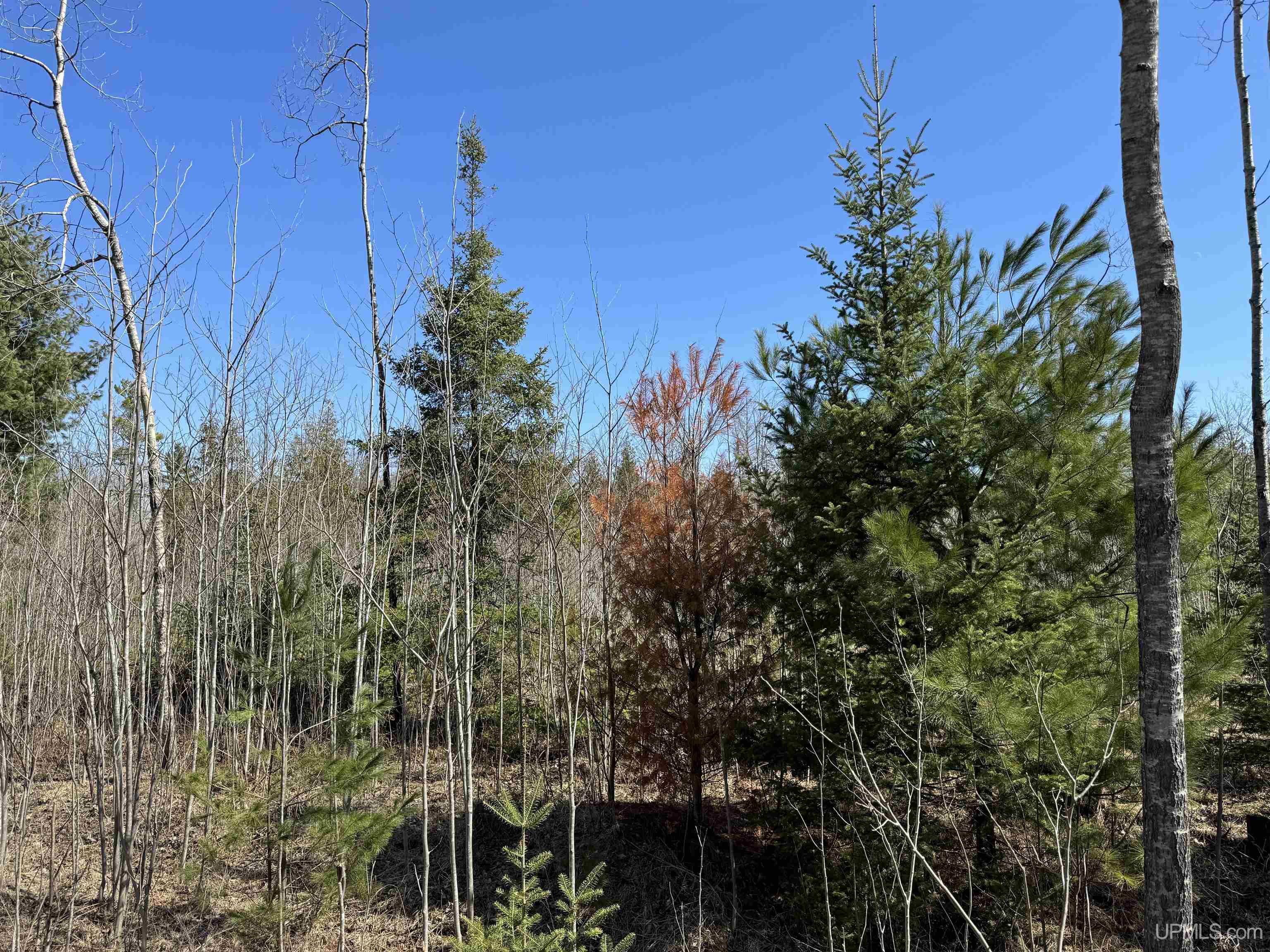 577 Rd Vulcan Mi 49892 Road Vulcan, MI 49892 - Photo 17 of 17