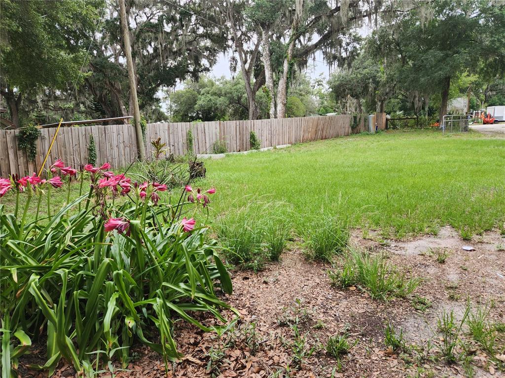 24815 Audrey Road Land O' Lakes, FL 34639 - Photo 25 of 25