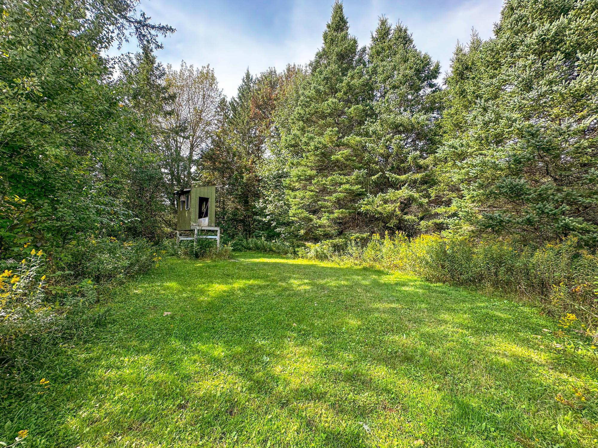 N5560 Rusk Road Hawkins, WI 54530 - Photo 39 of 51 Gallery Image 39