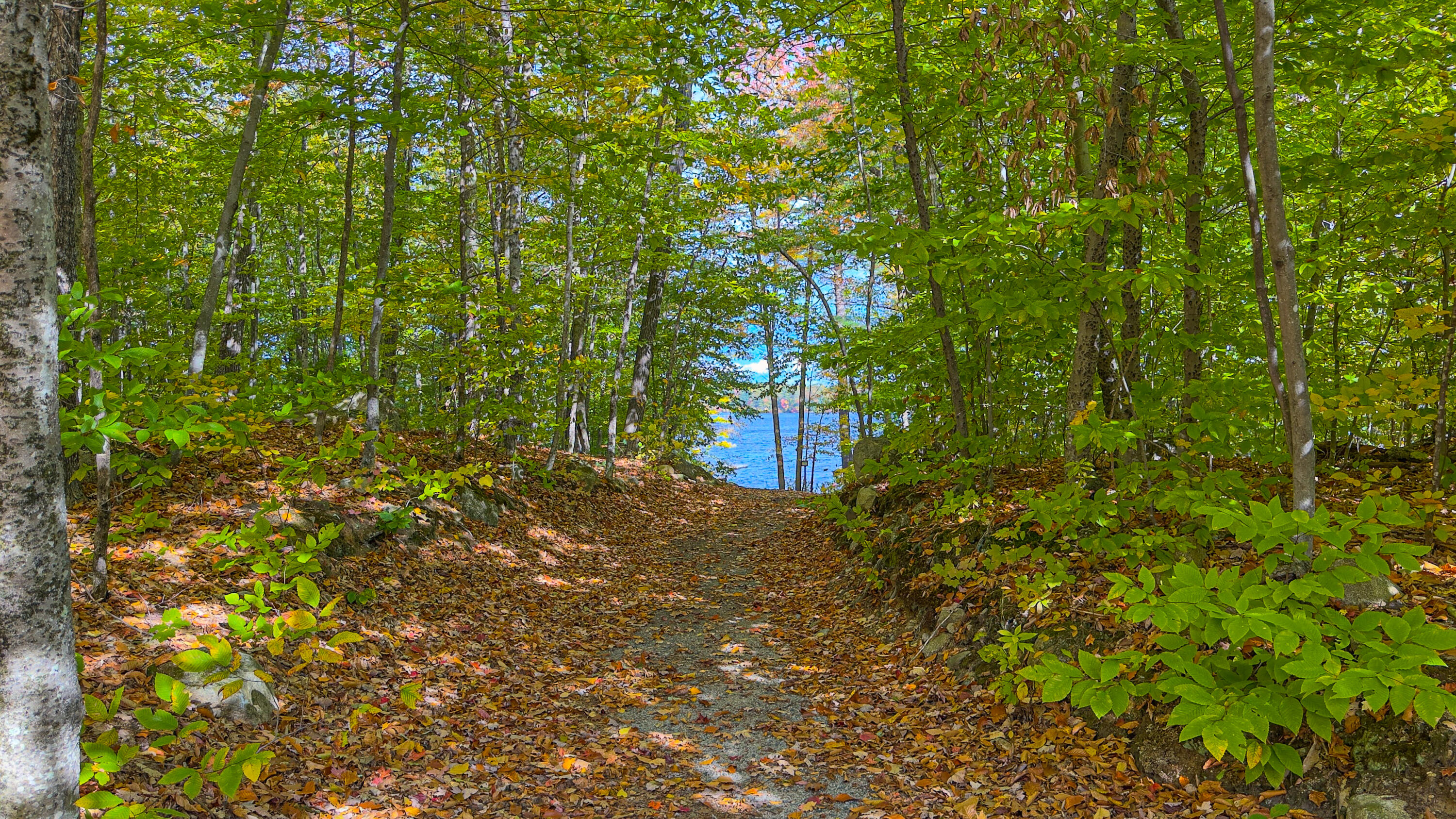 63 George Hannon Road Casco, ME 04015 - Photo 55 of 87 Private Beach