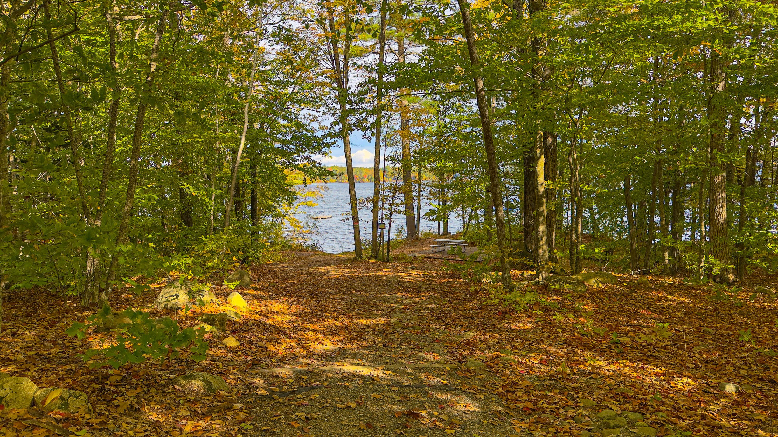63 George Hannon Road Casco, ME 04015 - Photo 56 of 87 Private Beach