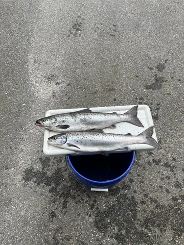 $749,900 | 63 George Hannon Road, Casco, ME 04015