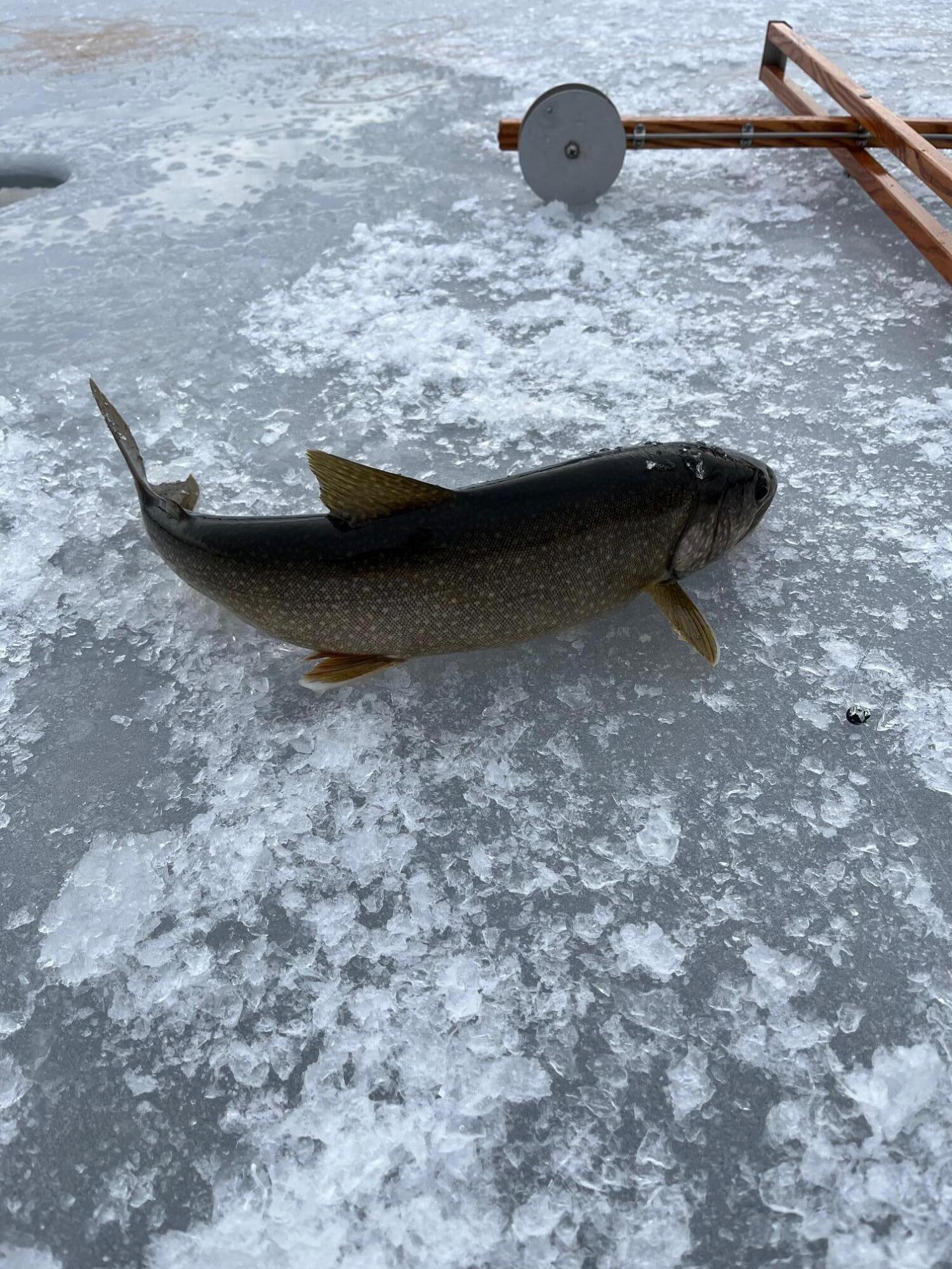 63 George Hannon Road Casco, ME 04015 - Photo 85 of 87 Ice Fishing