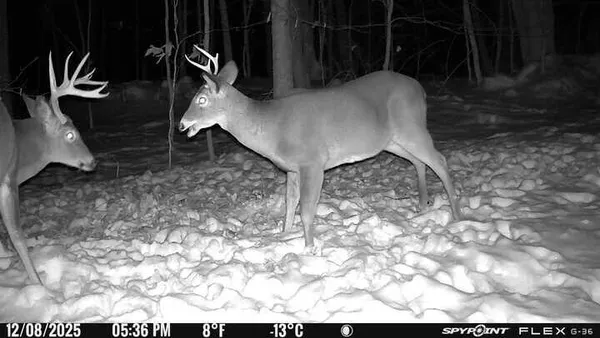 $735,000 | 63 George Hannon Road, Casco, ME 04015