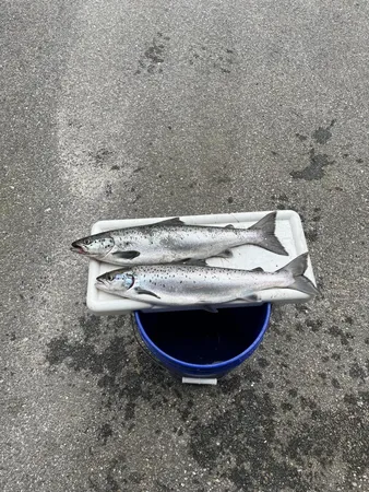 $735,000 | 63 George Hannon Road, Casco, ME 04015