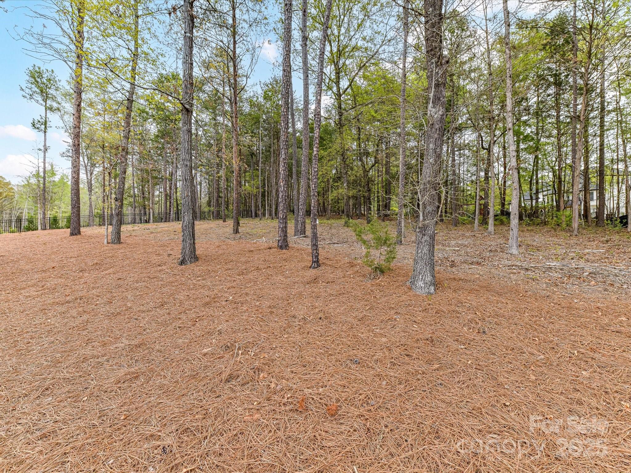 2954 Holbrook Road Fort Mill, SC 29715 - Photo 38 of 47 a view of empty room with trees in the background