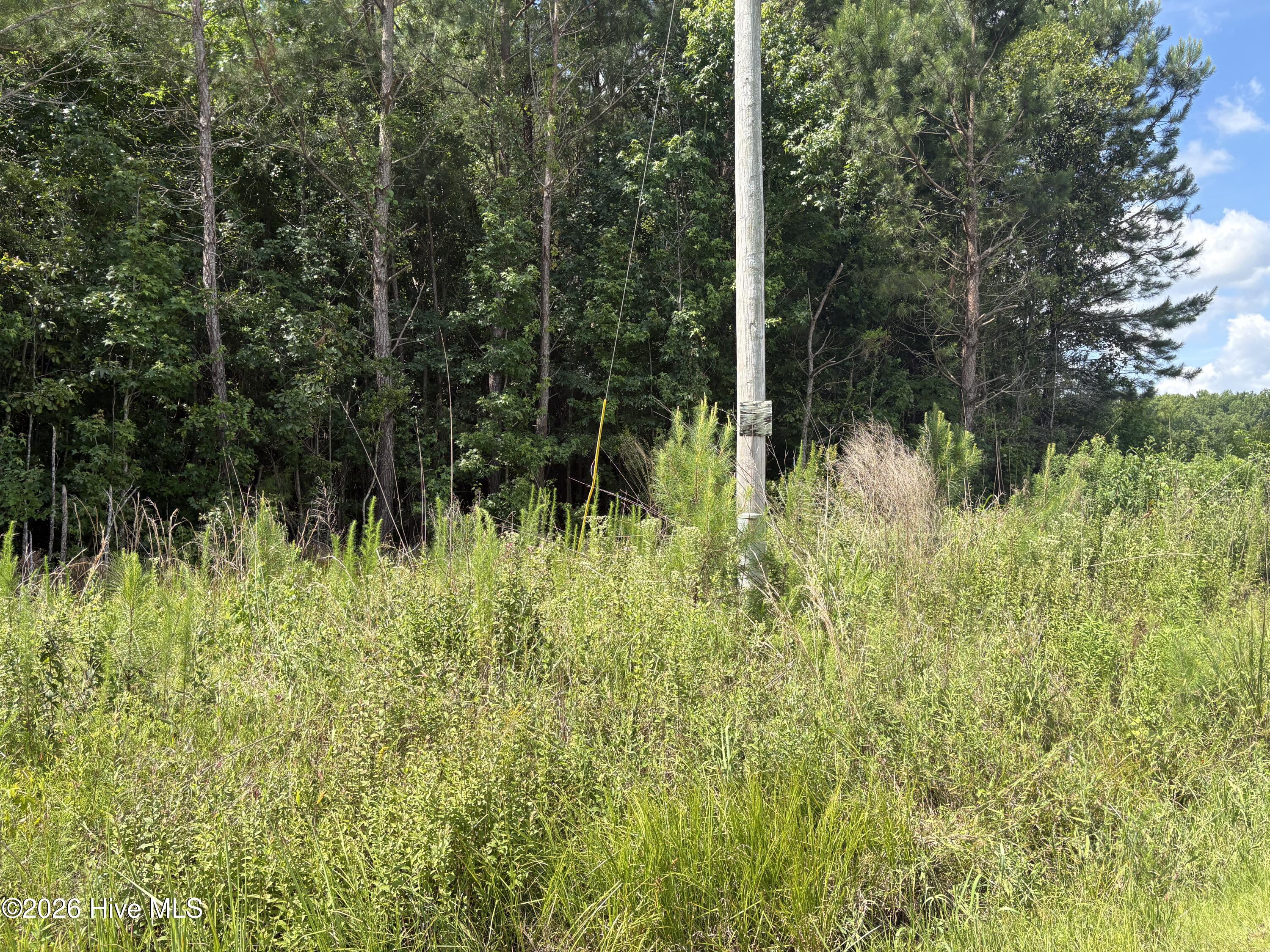1419 Mable Spaulding Road Whiteville, NC 28472 - Photo 3 of 16 This is view off Mabel Spaulding Rd