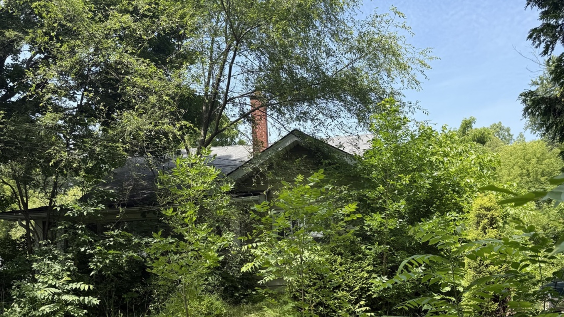 10802 West Yorkhouse Road Beach Park, IL 60087 - Photo 5 of 5