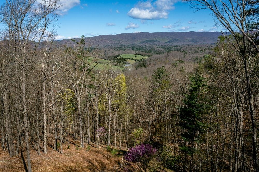 9586 Brunk Spring Lane Broadway, VA 22815 - Photo 56 of 58 View from back deck!
