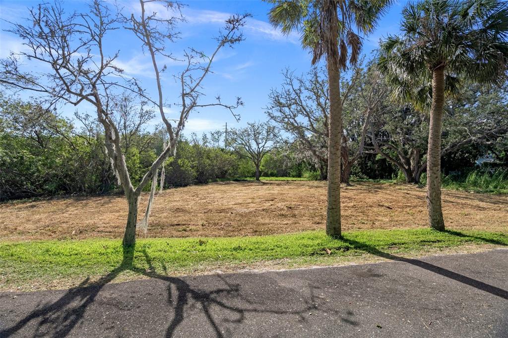 Irwin Street Safety Harbor, FL 34695 - Photo 5 of 14